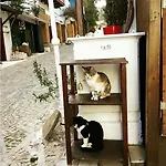 旅馆 阿泰膳食公寓